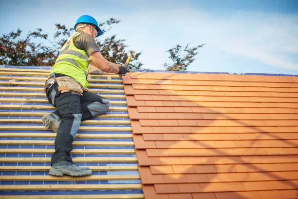 Best Steel Roofing  in Richwood, TX